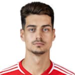 D. Monteiro Pinto Leite