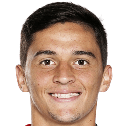 P. Gonçalves Maia Fortunato