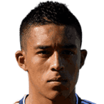 D. Londoño Castañeda