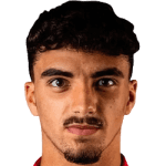 J. Natário Ferreira