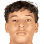 F. Barajas Juarez Jr