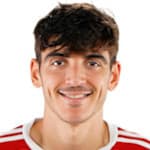 G. Villar del Fraile