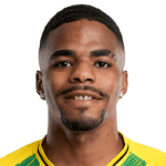 P. Pereira dos Santos