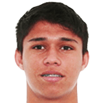 L. de Araujo Guimarães Neto