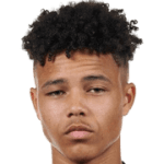 N. Courtens Mabeneyshi