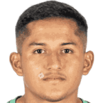 M. Villarroel Tardio