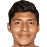 C. Gamarra Cárdenas