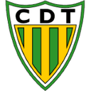 Escudo de Tondela